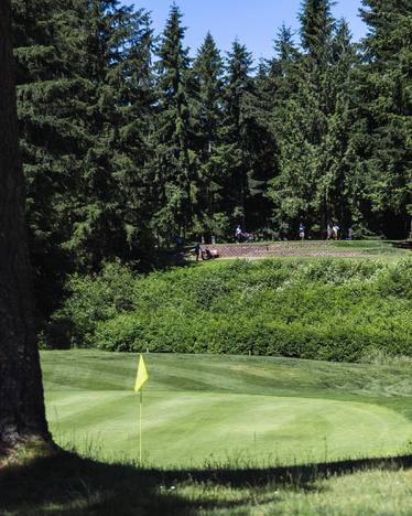Battle Creek Golf Course - Par 3