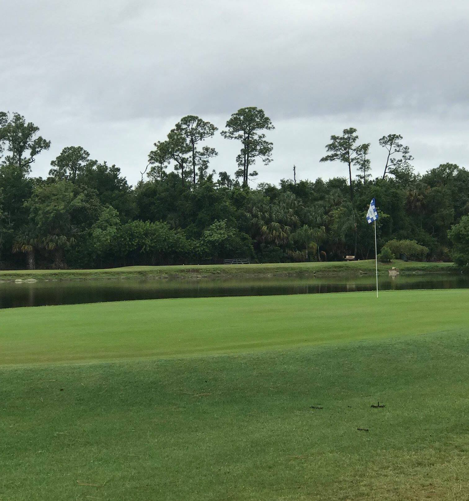 Blue Heron Pines Golf Club