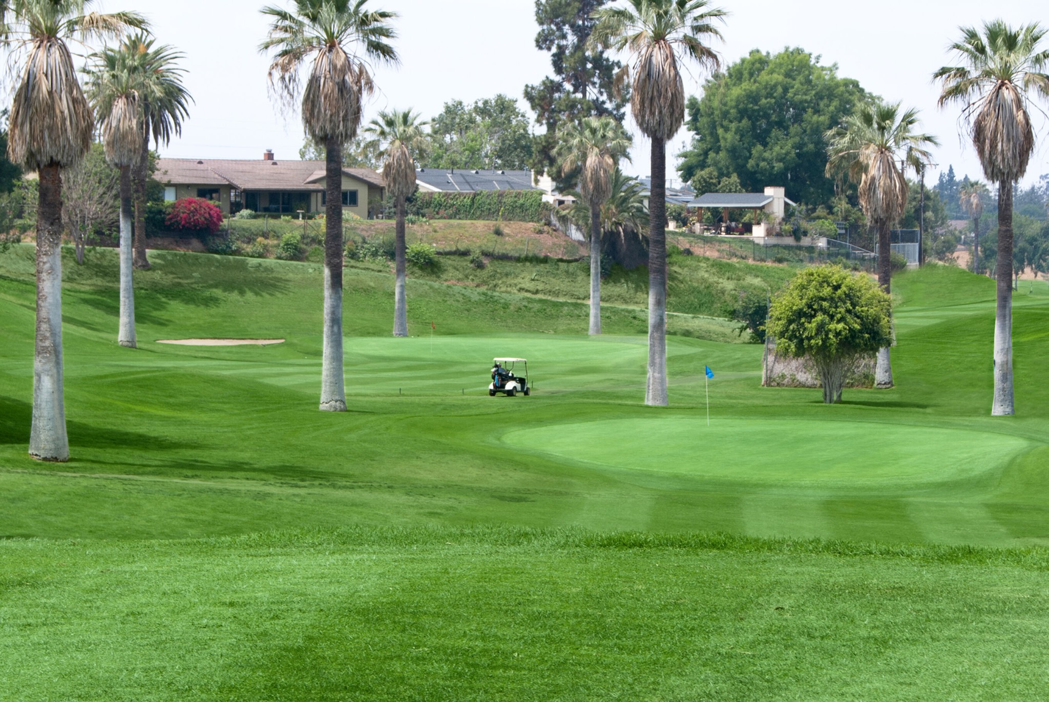 Brea Creek Golf Course