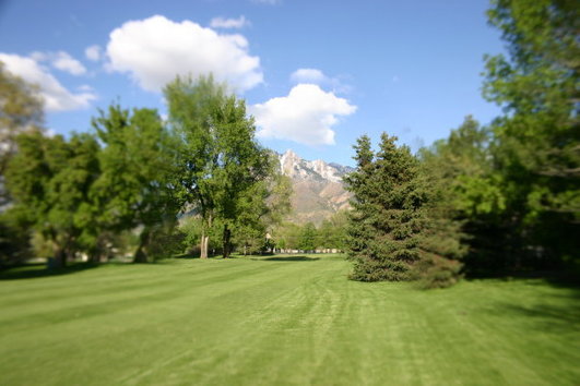 Cottonwood Country Club