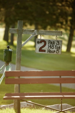 Fair Hills Executive Course