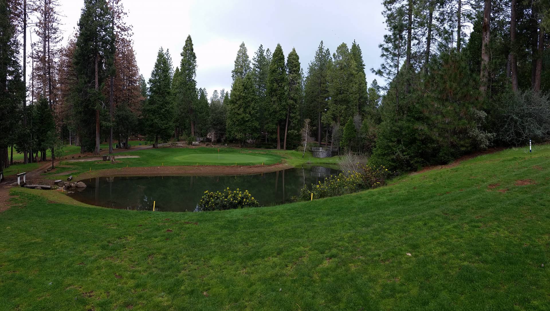 Forest Meadows Golf Club