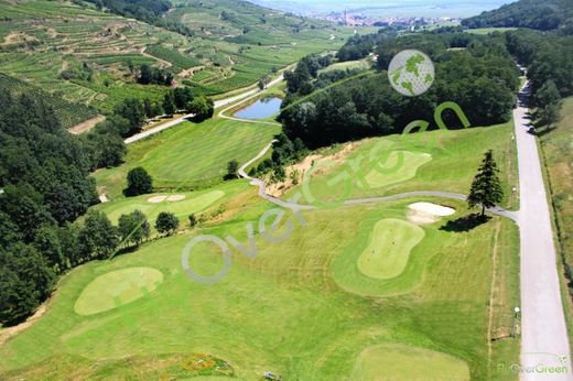 Golf D'Ammerschwihr Trois-Epis - Pitch & Putt