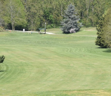 Golf de la Grange aux Ormes - Le Breuil