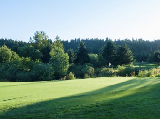 Heron Links at Willows Run
