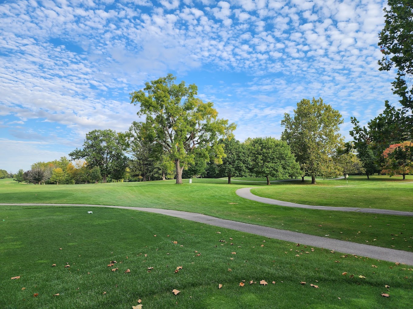 Lake of the Woods Golf Club - Par 3