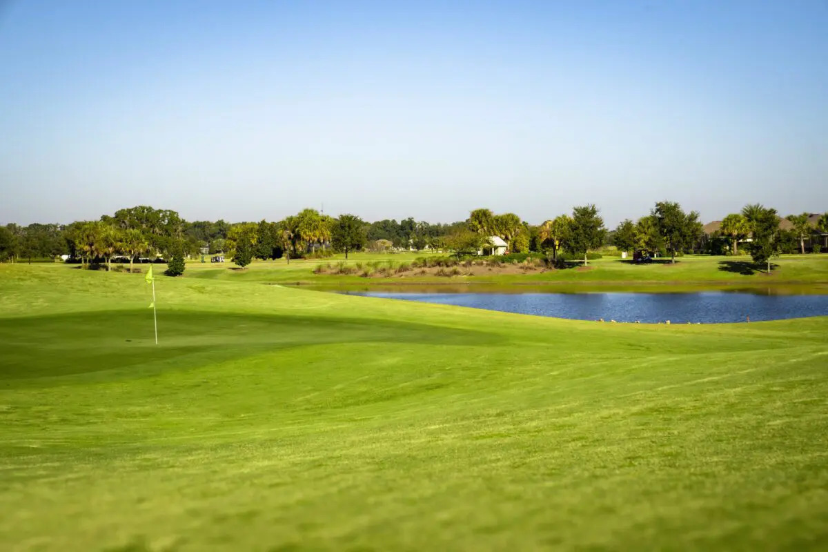 Mangrove Executive Golf Course