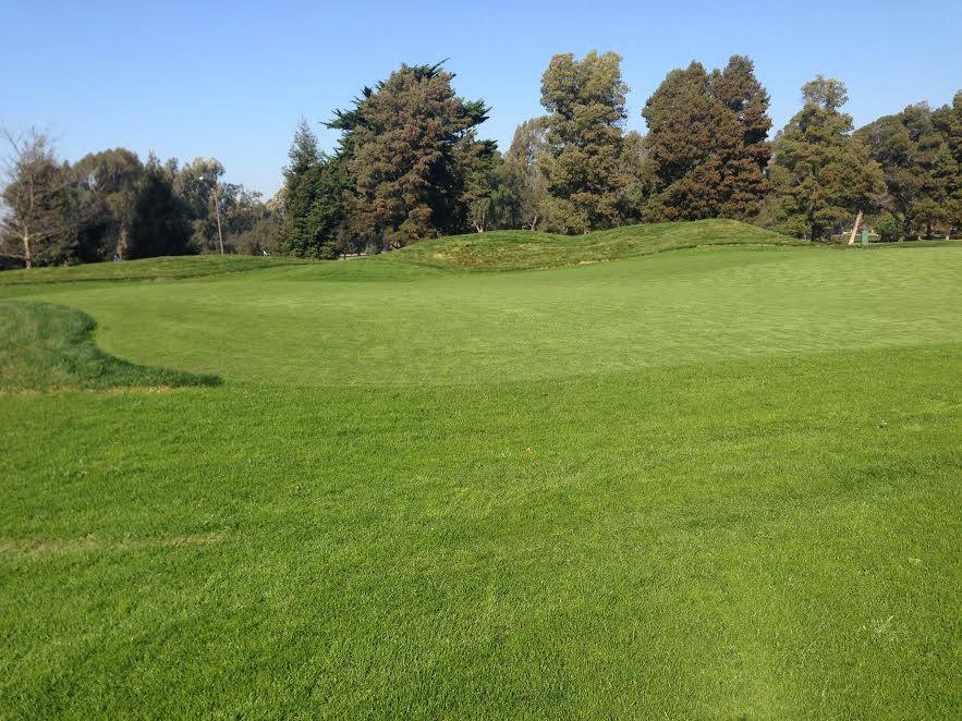 Mif Albright Course at Corica Park