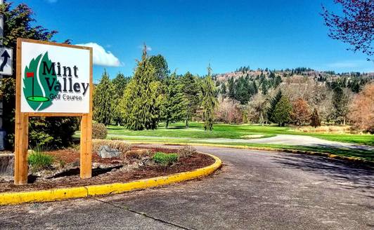 Mint Valley Golf Course - Par 3