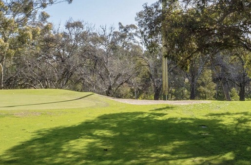 North Adelaide Golf Course Par 3