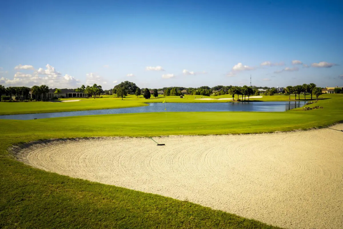 Palmetto Executive Golf Course