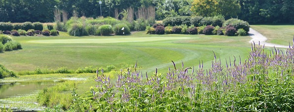 Eagle Springs Golf Course - Par 3