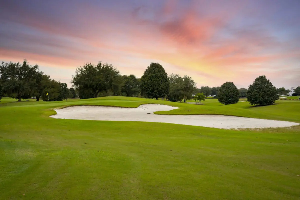 Saddlebrook Executive Golf Course