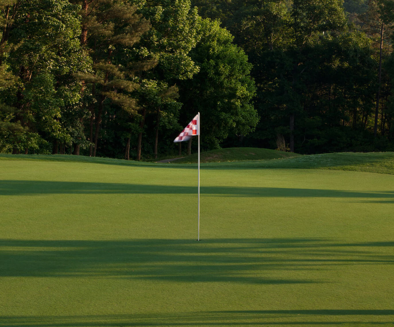 Steel Canyon Golf Club