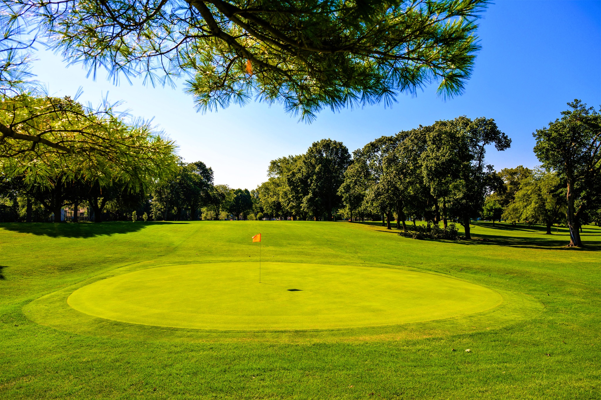 Studebaker Golf Course