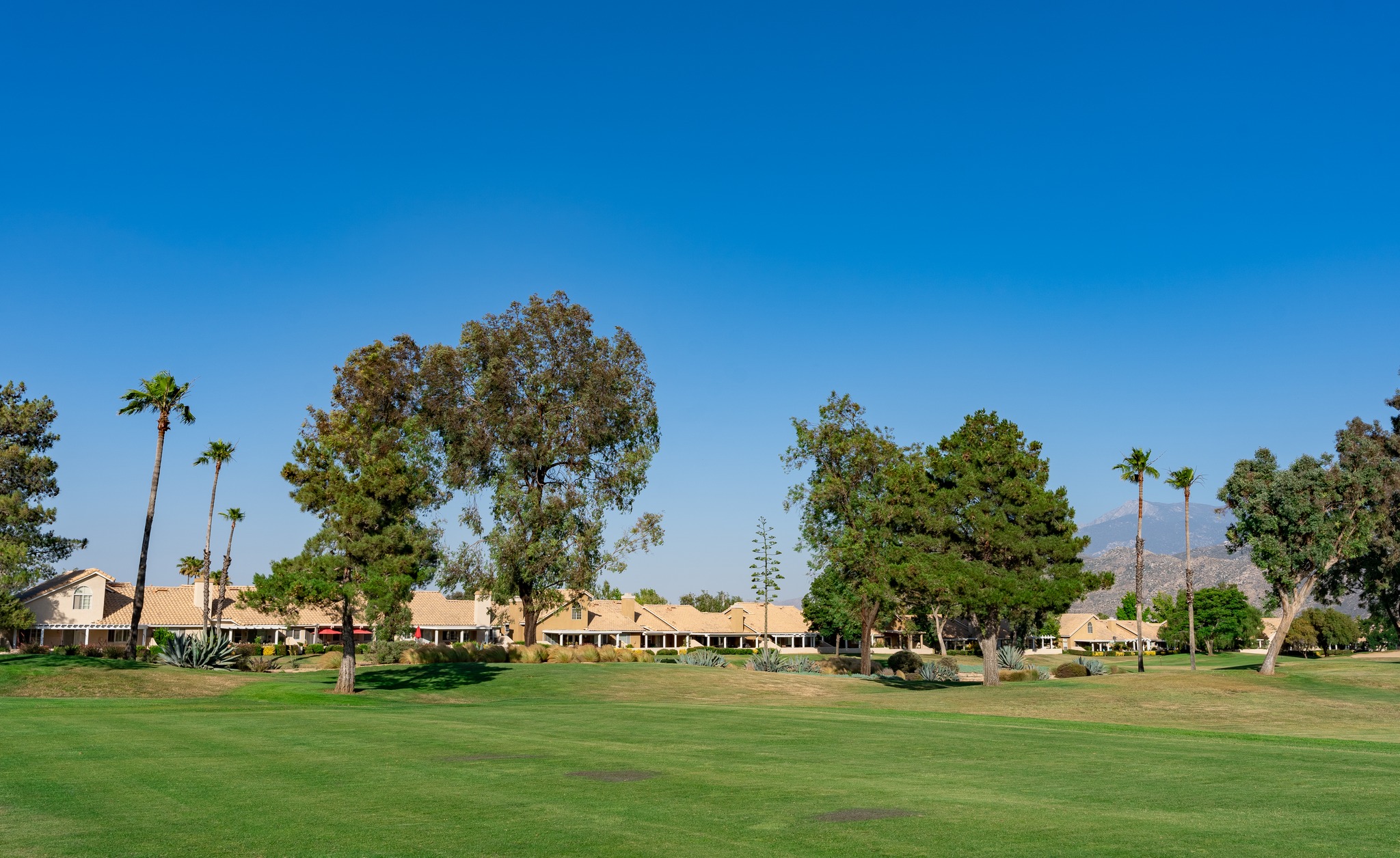 Sun Lakes Country Club - Executive Course