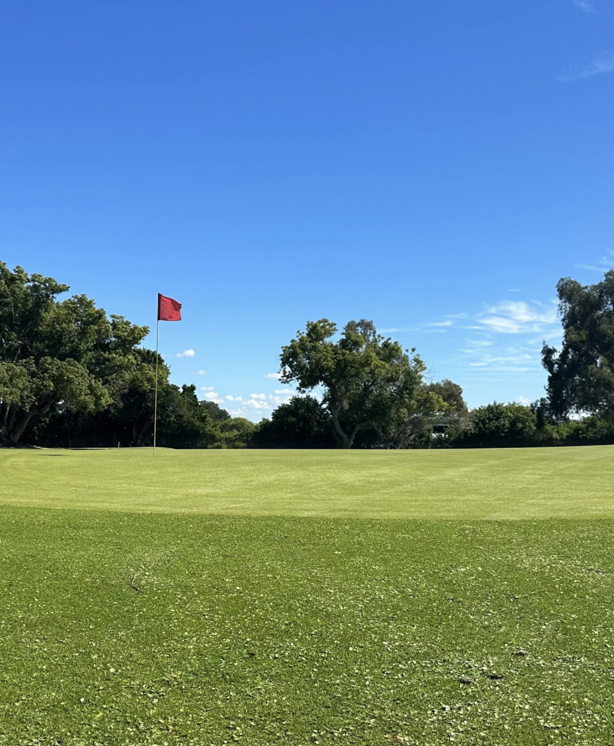 The Landings Golf Club