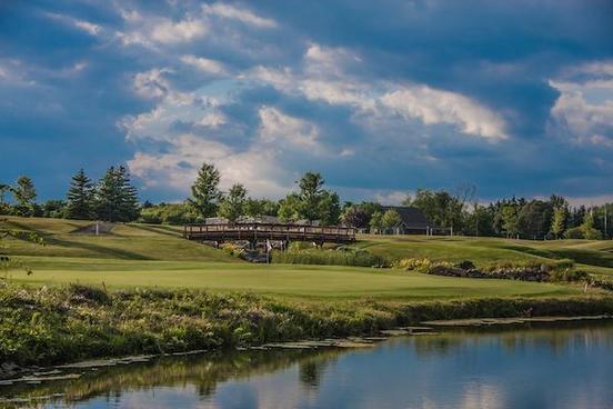 The Strategic Fox at Fox Hills Golf & Banquet Center
