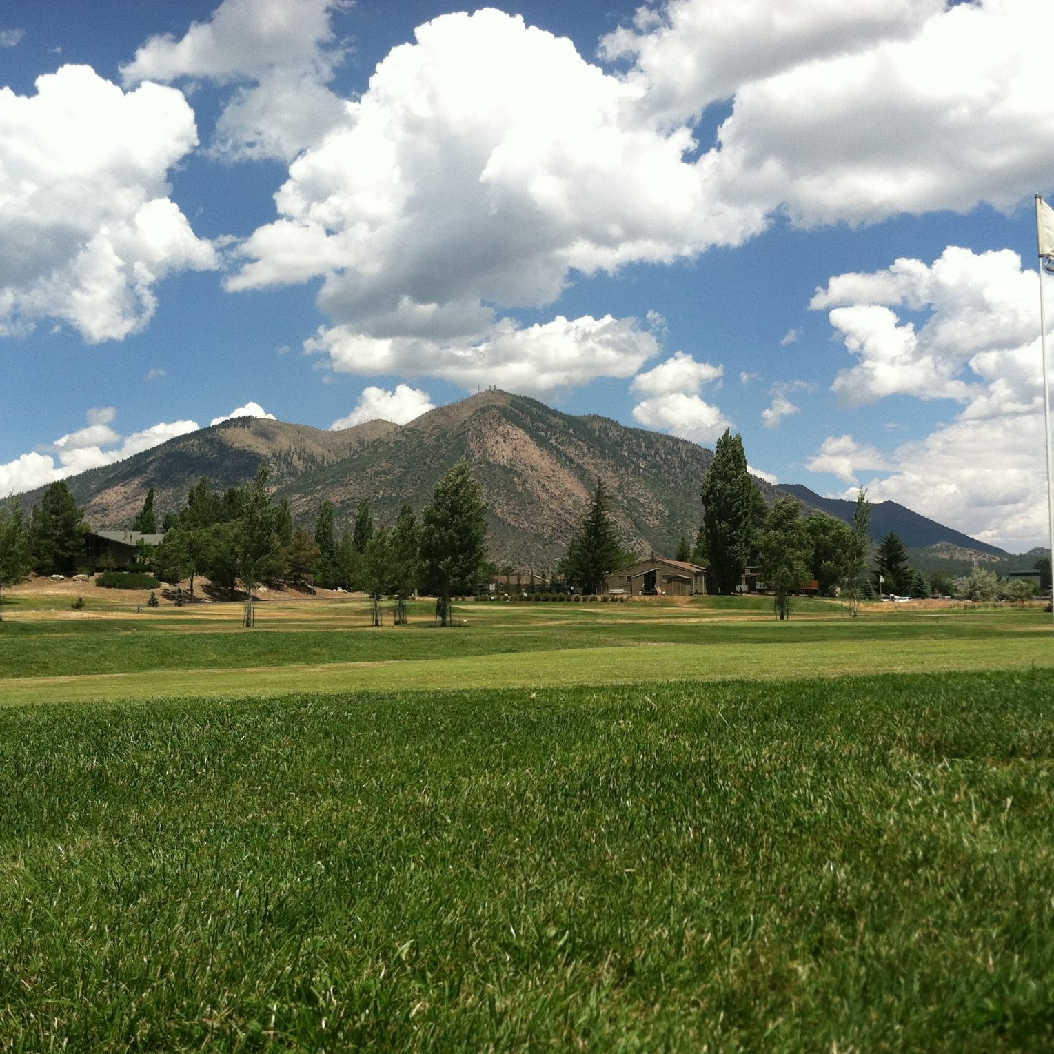 Timberline Short Nine