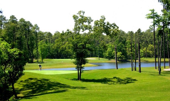 Tupelo Bay Golf Center - Executive