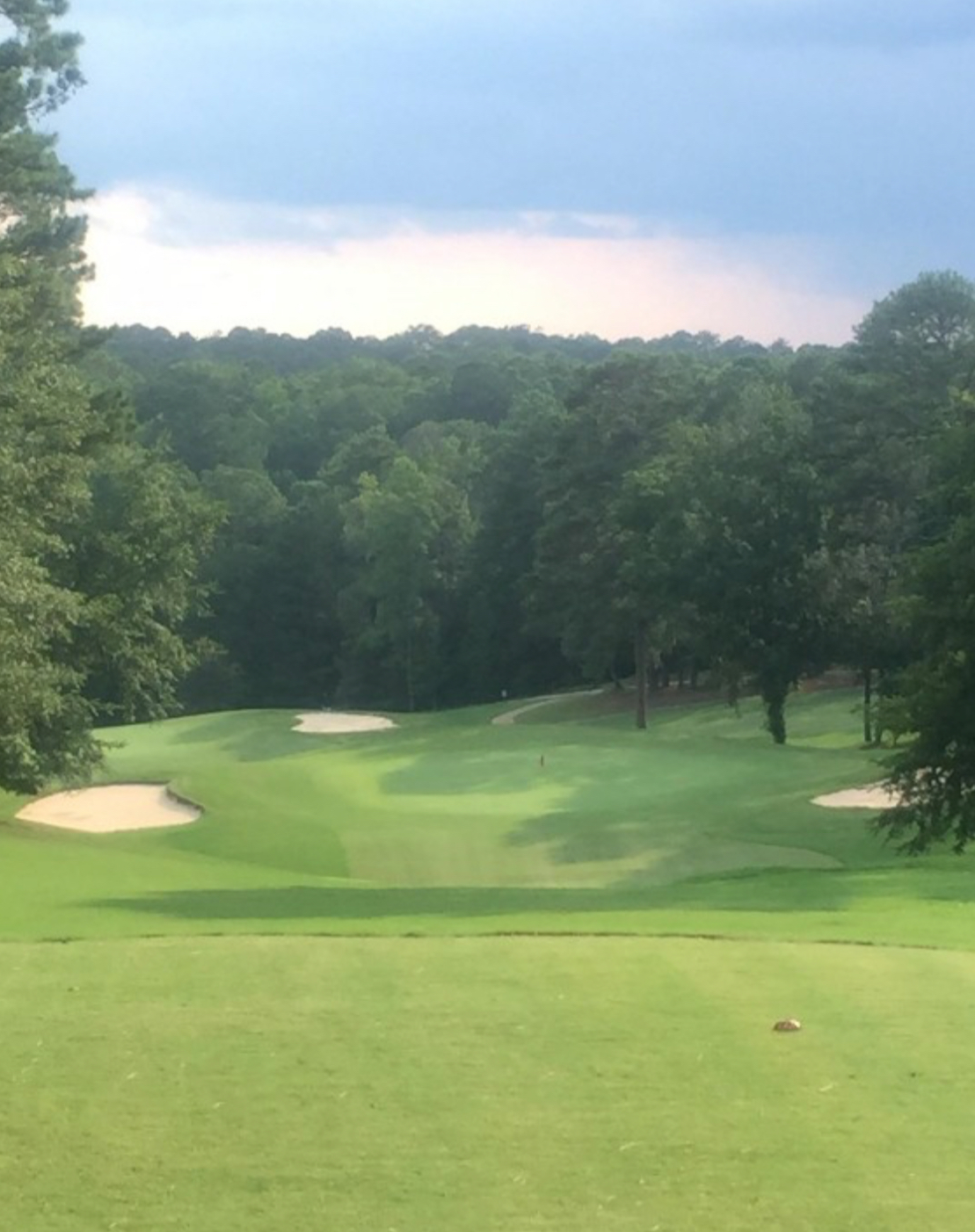 Turtle Cove Golf Course