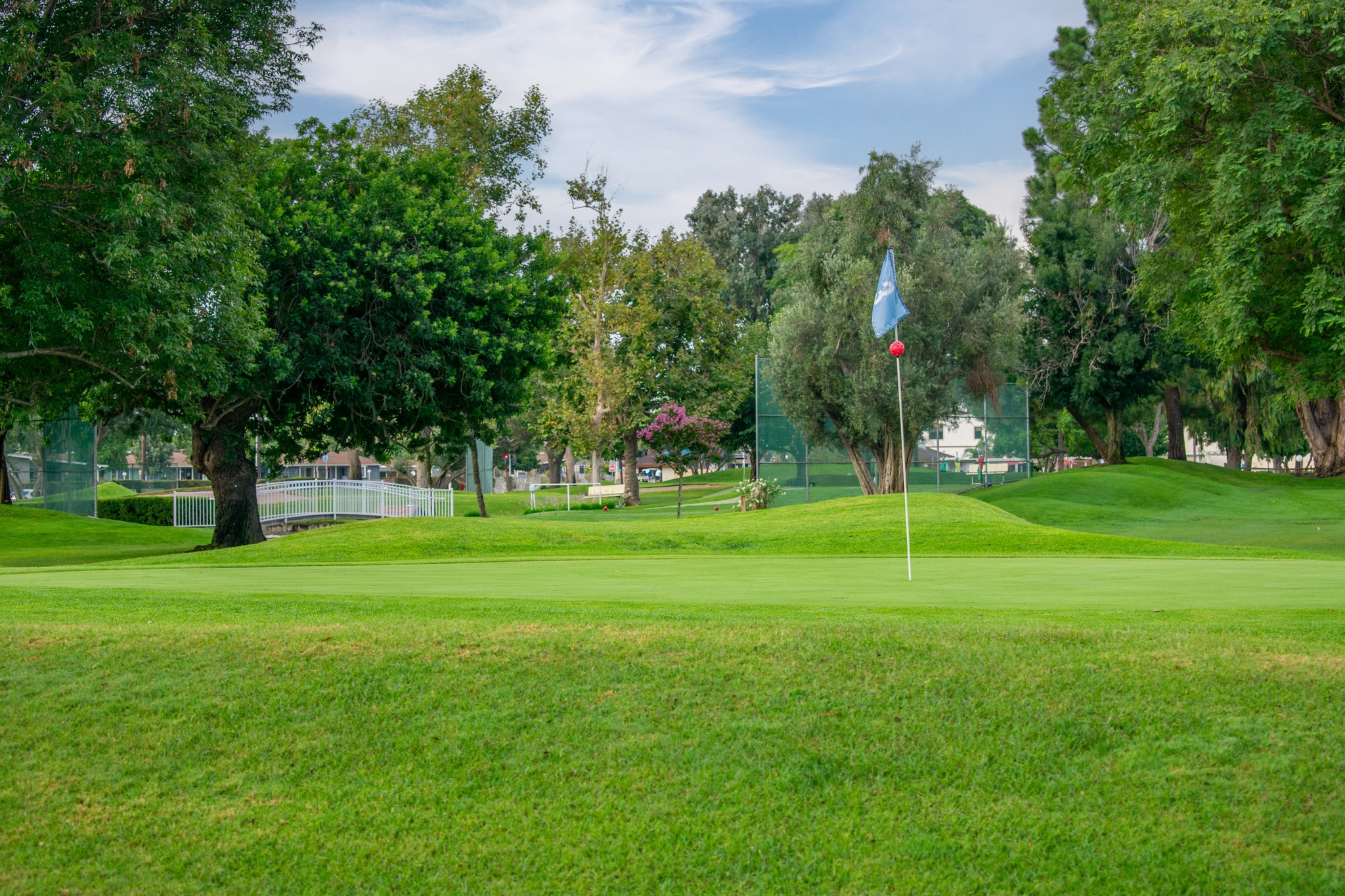Turtle Lake Golf Course at Leisure World