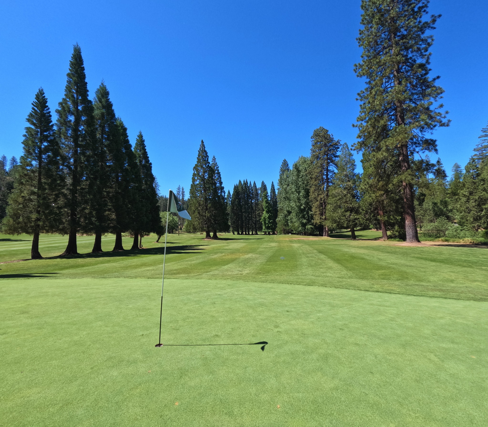 Twain Harte Golf Club