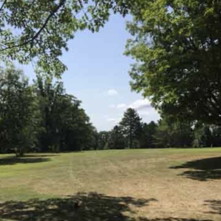 Wedgewood Golf Course