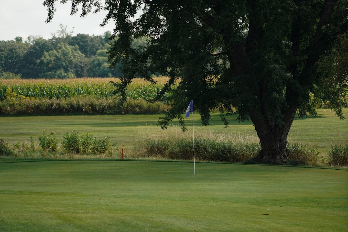 Havana Hills Par 3 Golf