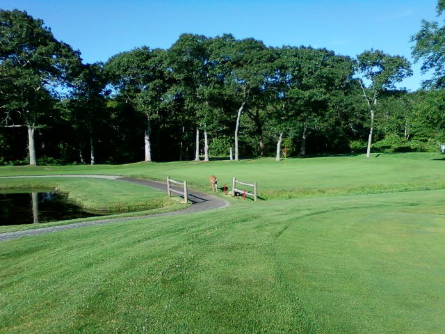 Little Harbor Country Club